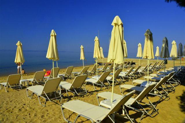 Villa Sithonia Metamorfosi  Exterior photo
